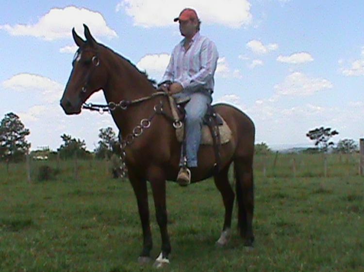 ALPEIJO DA MANSIDÃO