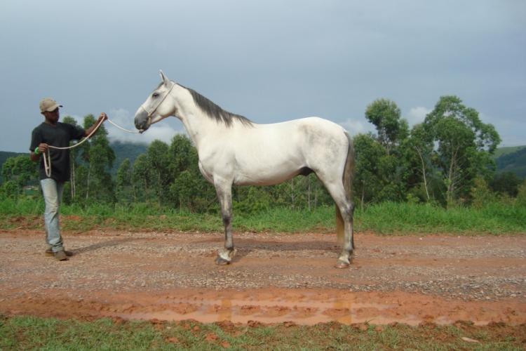 ZAPATA DA FUMAÇA PRETA
