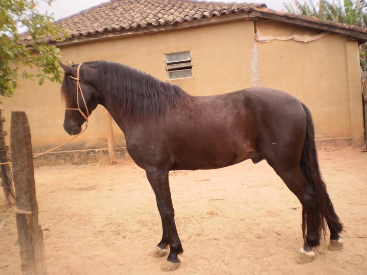 SERESTEITO JALTIANA