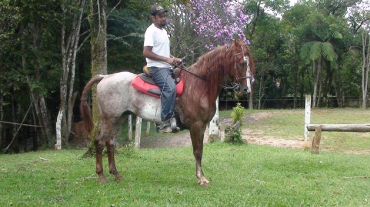 MARAJÁ RBV