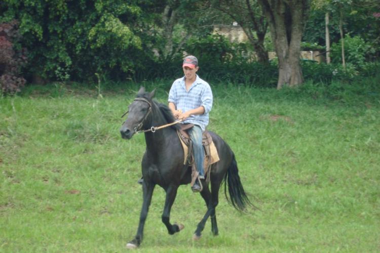 PETRÓLEO