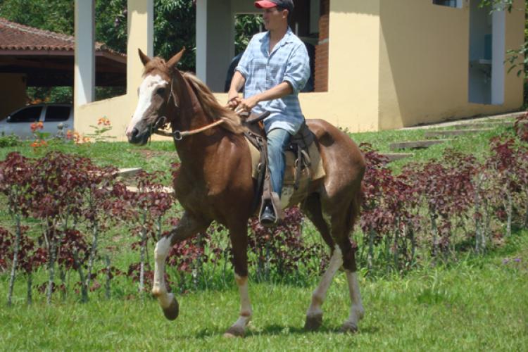 BRAGADA