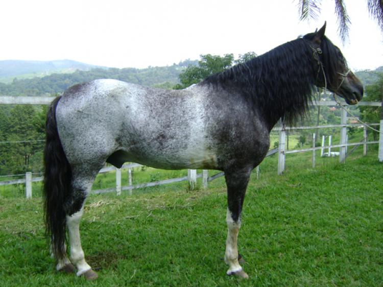 MURIÁ