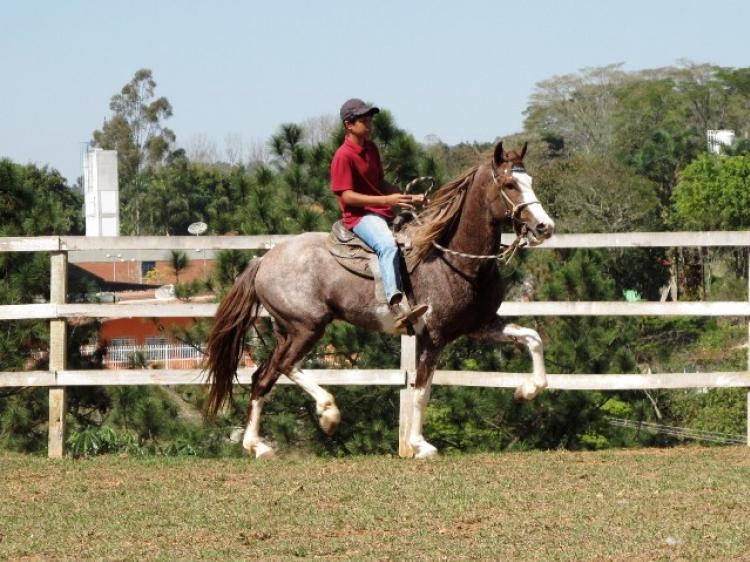 TALENTO MFG