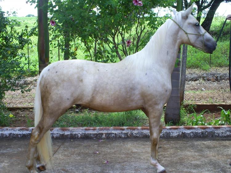 HERÓI M.E.