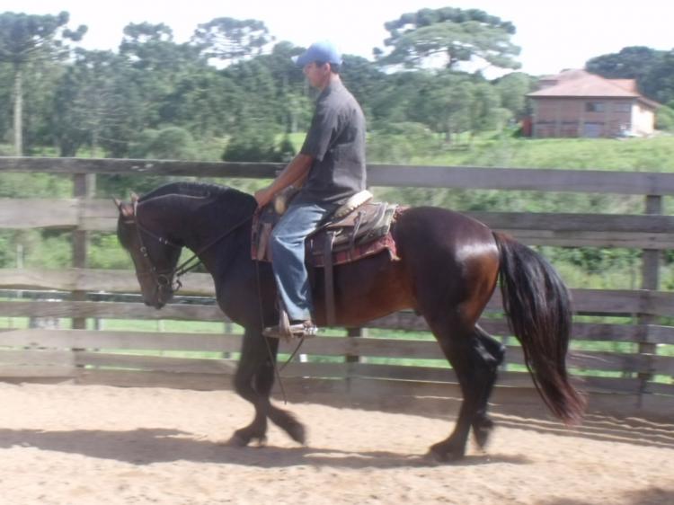 ALZAGA DO RECANTO DO ARROIO