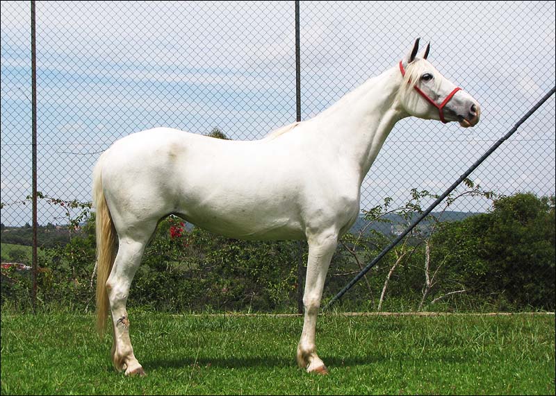 CLOÉ