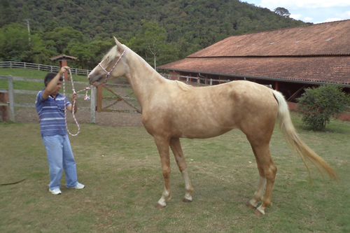 TERNURA DA NORMA