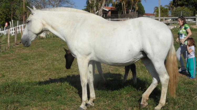 PIPOCA DO TRIANON