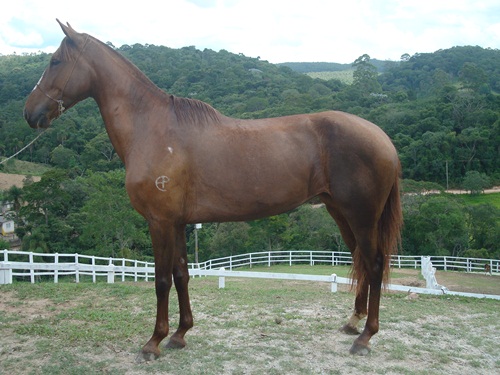 NORA DO OTNACER