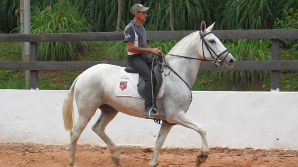 URANIA DA PITANGUEIRAS