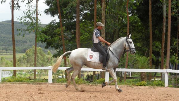 SIGRAFA ITAPUA