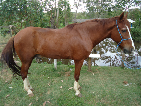 CADU