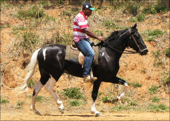 ORVALHO DO SANTO IZIDRO