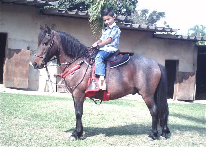 XODÓ DO FUAD