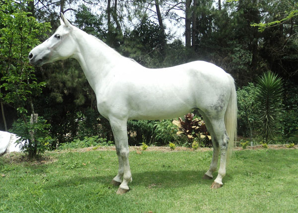 SHARON RD MOURA