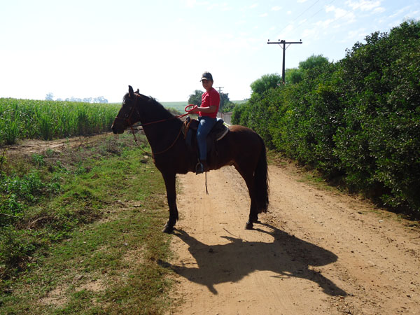 OUSADO DO PINHAL VELHO