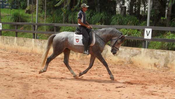 EGITO SANTANA