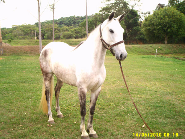 LUNA DE SAMBAÍBA