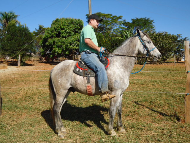 ODEON S.R.R