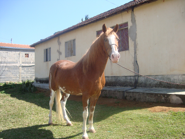 PRINCESA