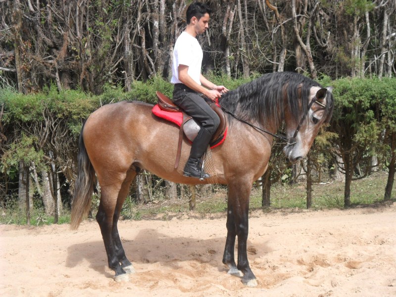 DIGNO DE SÃO PEDRO