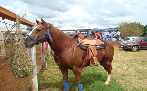 MALABAR DA KIRONGOZI