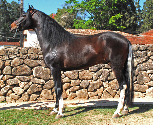 JÚPITER RM