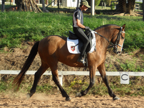 BARTIRA RMT