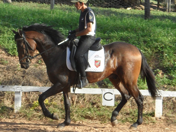 EROS