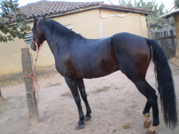 NOÉ