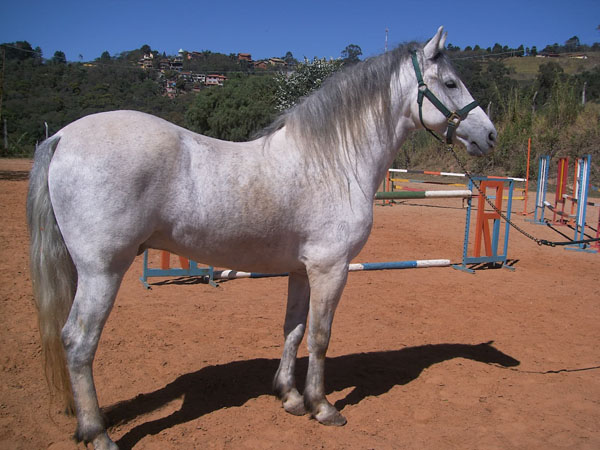 TEXTOR PAULISTA