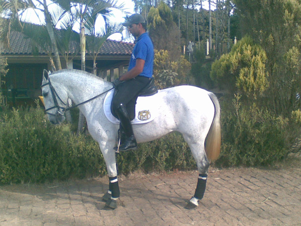 VIRTUDE DA PITANGUEIRAS