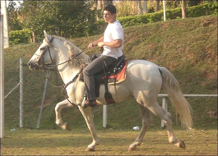 ZEUS DO TRIGUEIRÃO