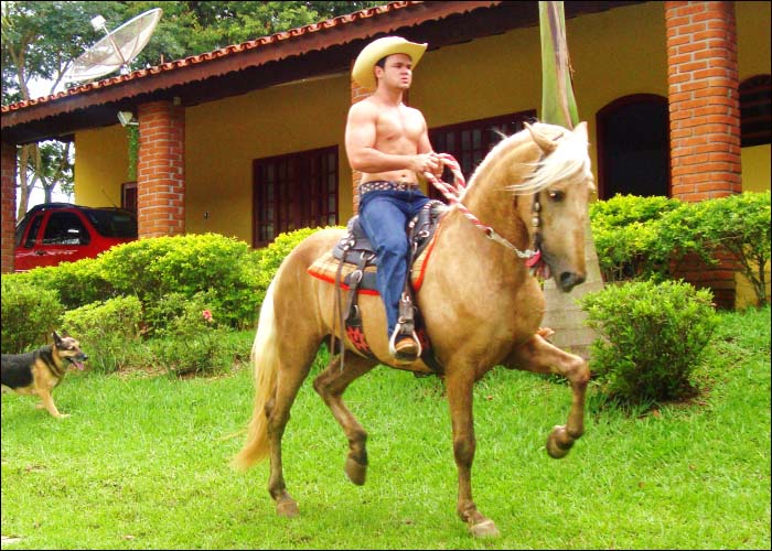 ÁTILA DO REINO ENCANTADO