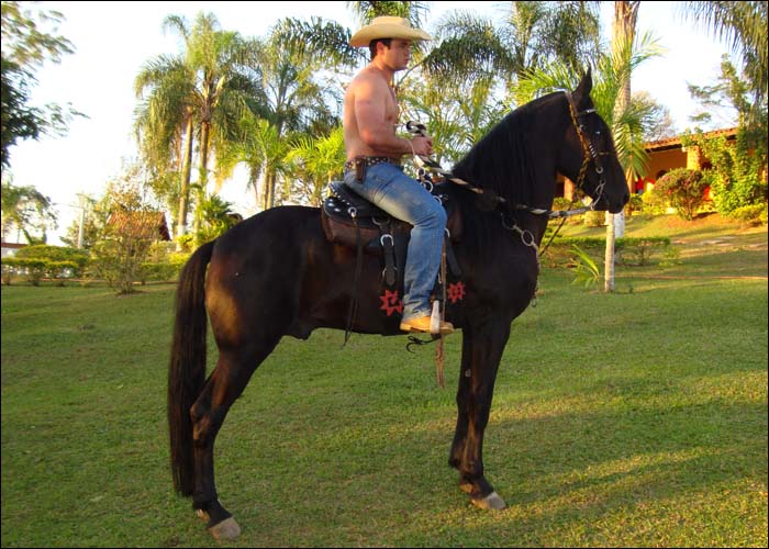 IMPÉRIO DO MRE