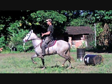 QUELINDA DO BICO DE LACRE