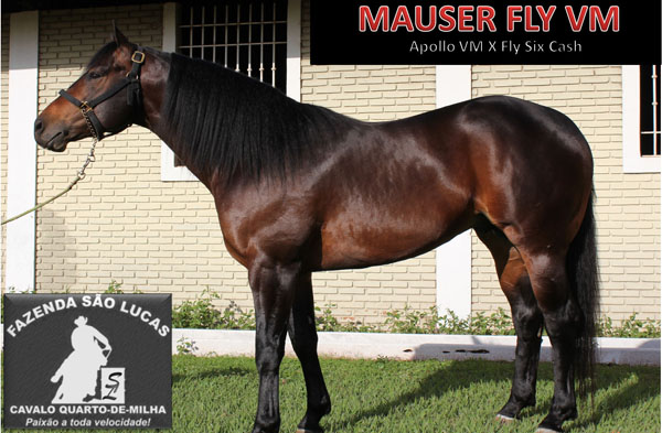 MAUSER FLY VM