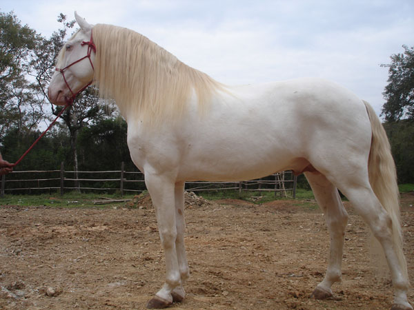 ALLEGRO INTERAGRO