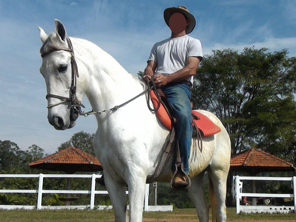 BOLERO TERRA FORTE