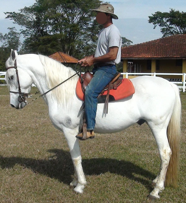 DEBATE ANAYÁ