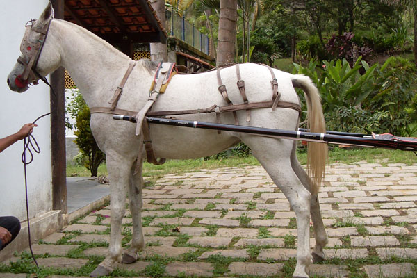 LA REINA CHEREZ