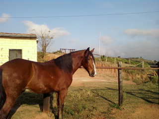 VALETE
