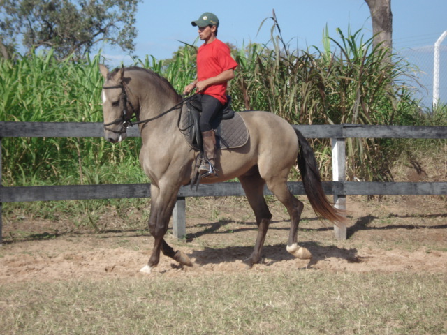 DARDO DOS DIAMANTES
