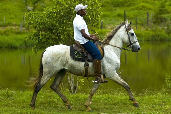 CARVÃO DA POESYA