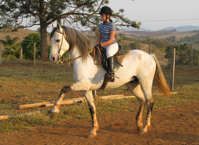 SAGAZ ARCO-IRIS