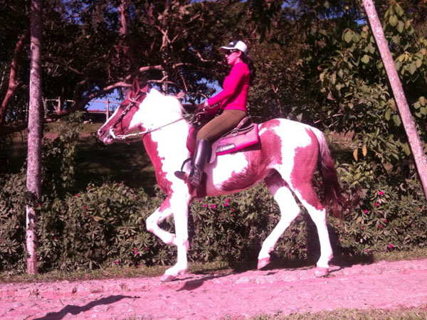 CACIQUE