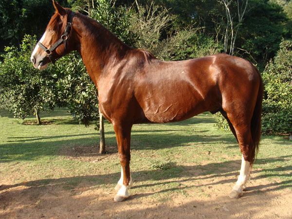 PENSADOR TRÊS RIOS