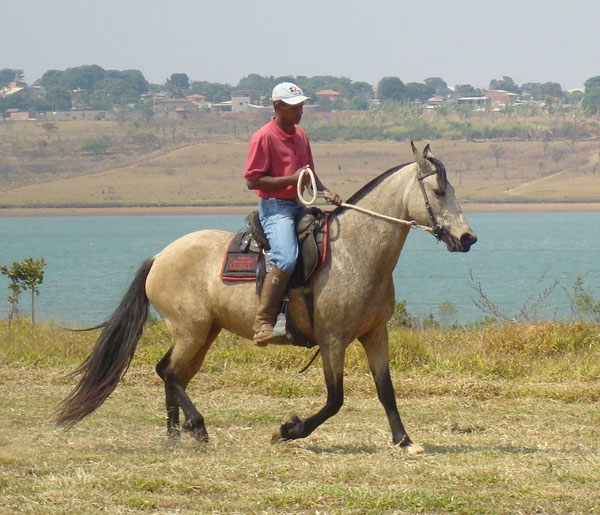 LUZIÂNIA DO RIACHINHO