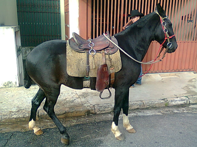 PRETINHA